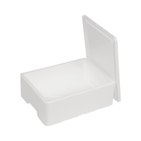 EPS doos 12 L, 400 x 300 x 155 mm