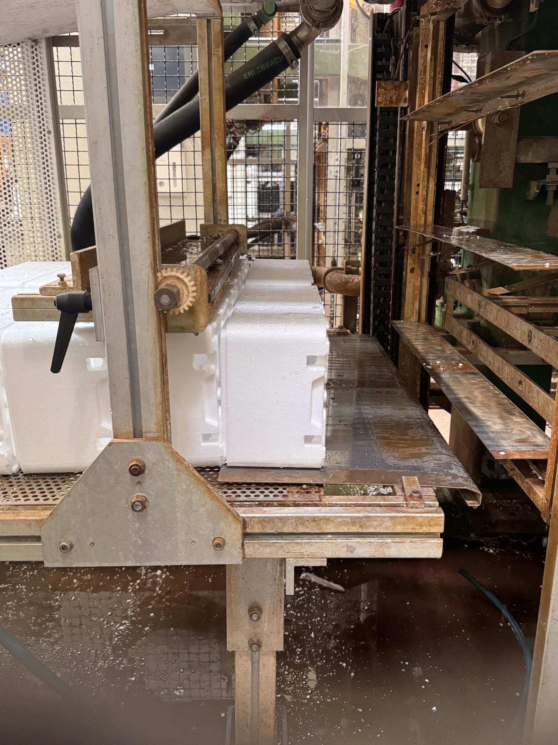 Produzione interna di scatole in EPS presso Cooled Solutions nei Paesi Bassi